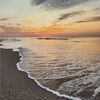 beachyfinds81